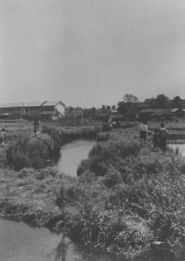 1954（昭和29）年、善福寺川天王橋付近の様子。土手は子供の遊び場だった