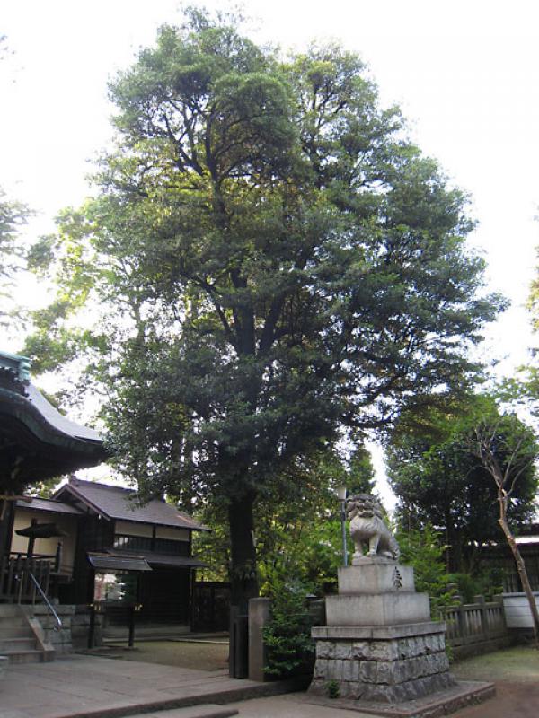 和泉八幡神社