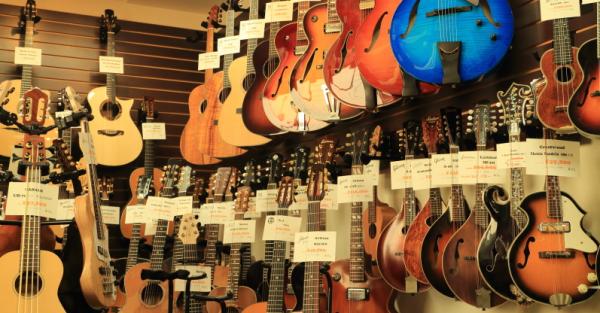 ビンテージや中古のギター、ウクレレ、マンドリンが中心。新品は個人作家が制作した１点ものが多い。100万円を超えるものもある