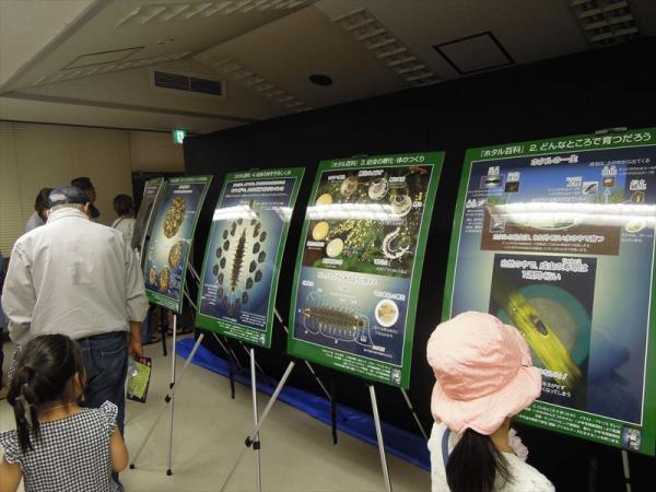 久我山会館では昼間からホタル観賞ができるほか、ホタルの生態について学べるパネルも展示