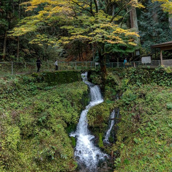 日本の名水百選「箱島湧水」。夏にはホタルが舞う