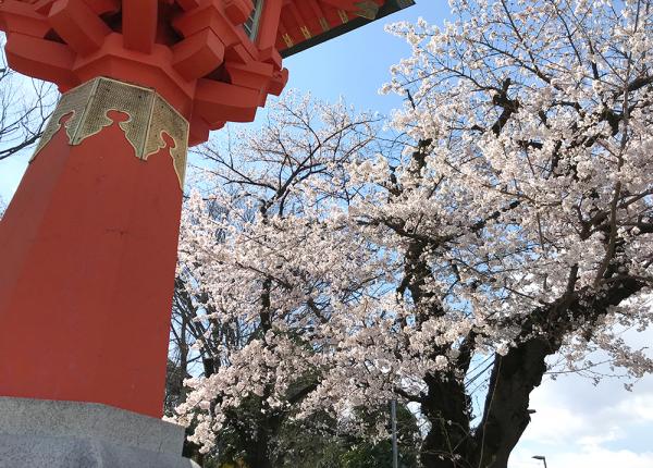 井草八幡宮