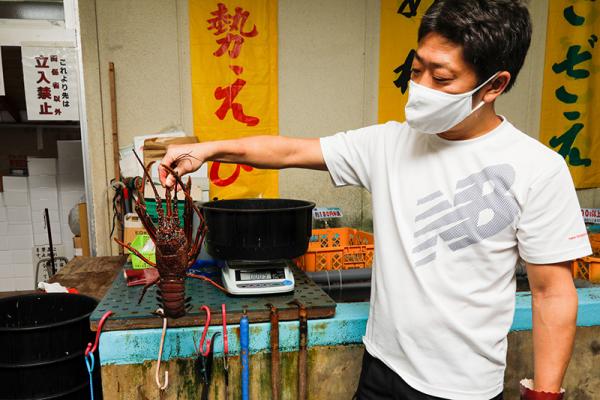伊勢エビは、静岡県一の漁獲量を誇る名産品。「伊豆漁協 南伊豆支所 直売所」では、１㎏を超す大物にも出会える