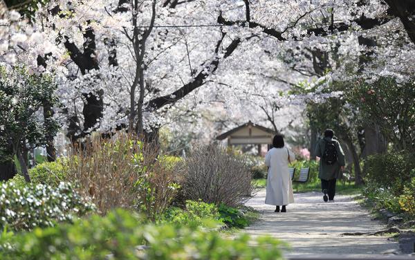 杉並区立玉川上水第二公園・第三公園