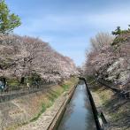 東京都立善福寺川緑地