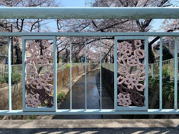 桜の季節の高井戸橋。季節ごとに自然と橋が織りなす風景も楽しめる（2021年３月24日撮影）