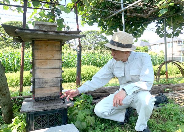 西荻窪にある別の農園にも保護したニホンミツバチの巣箱を置かせてもらっている