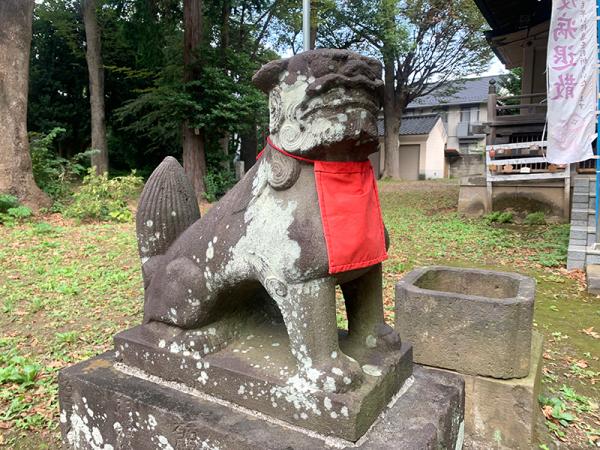 約250年前に作られた上高井戸第六天神社の狛犬。小さくて愛嬌（あいきょう）がある風貌