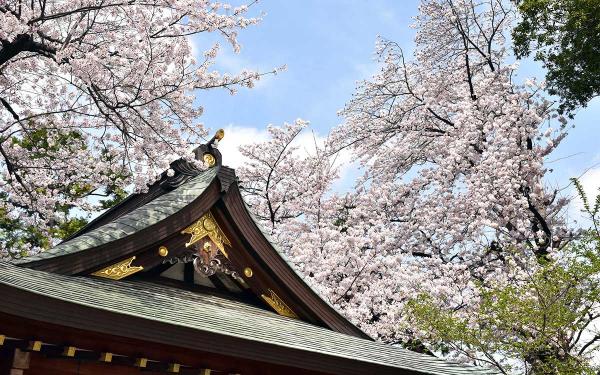 馬橋稲荷神社