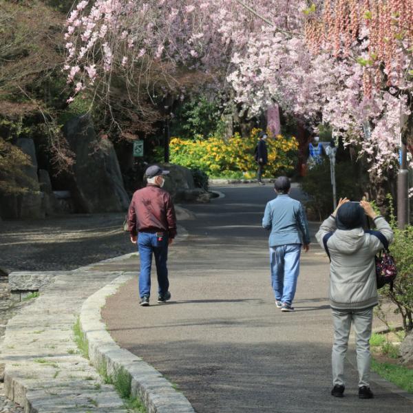 春には桜の撮影スポットとなる場所