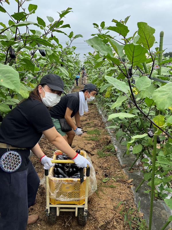 野菜を直接仕入れている農園では、スタッフが農作業を手伝うことも（写真提供：草鞋ベーカリー）