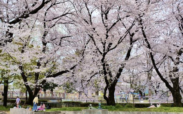 東京都立和田堀公園