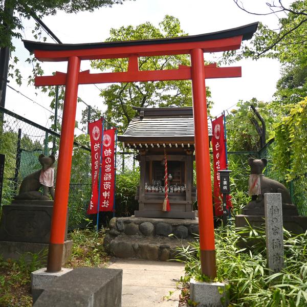 柏の宮稲荷神社、全景