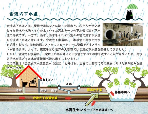 善福寺川の最も大きな課題である合流式下水道の仕組み（写真提供：善福寺川を里川にカエル会）
