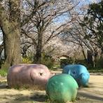 ブタの遊具と桜並木（撮影：2020年３月15日）