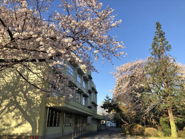 春には満開の桜が校舎を彩る（写真提供：東京都立杉並総合高等学校）