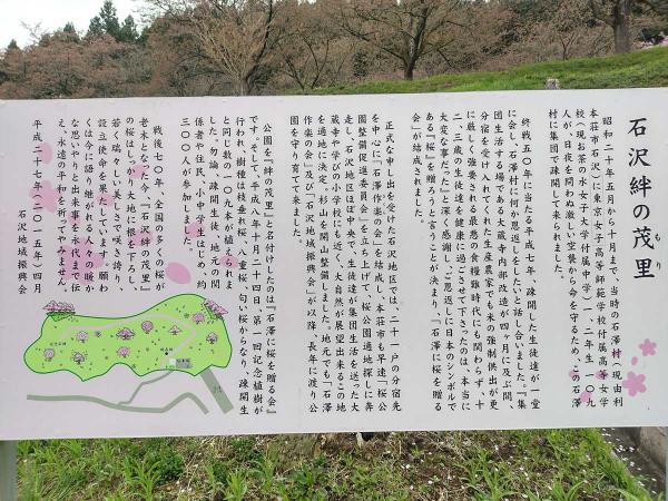 その地域に集団疎開していた生徒と同じ数の桜が贈られた（写真提供：石沢情報局）