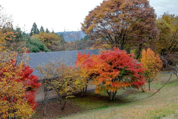 「コニファーいわびつ」。広い敷地に、露天風呂のある本館やログハウスが立つ