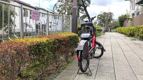 妙正寺川沿いの遊歩道を通って妙正寺公園へ