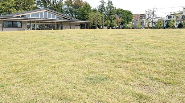 芝生が広がり、爽やかな空気が味わえる公園になった