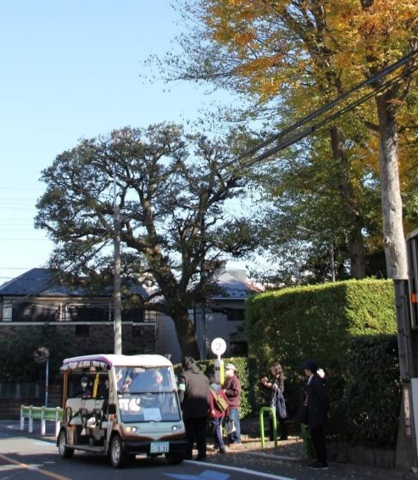 大田黒公園停留所に停車中。降車する時には運転手に声を掛ける