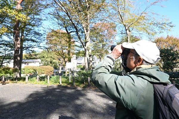 鳥を探す西村氏。双眼鏡があると便利