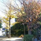 お伊勢の森児童遊園全景