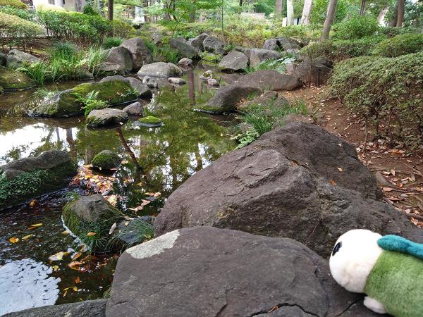 日本庭園の中には池がある