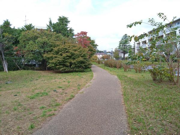 道の両脇に緑が広がる細長い公園