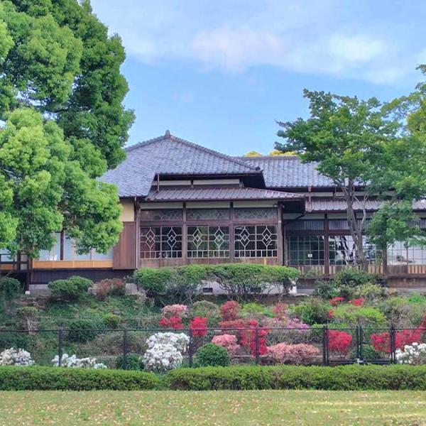 芝生広場から荻外荘を見上げる（撮影：2025年５月１日）