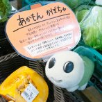 あかもんかぼちゃはコクのある味が特徴。８月中旬〜９月下旬の限定販売