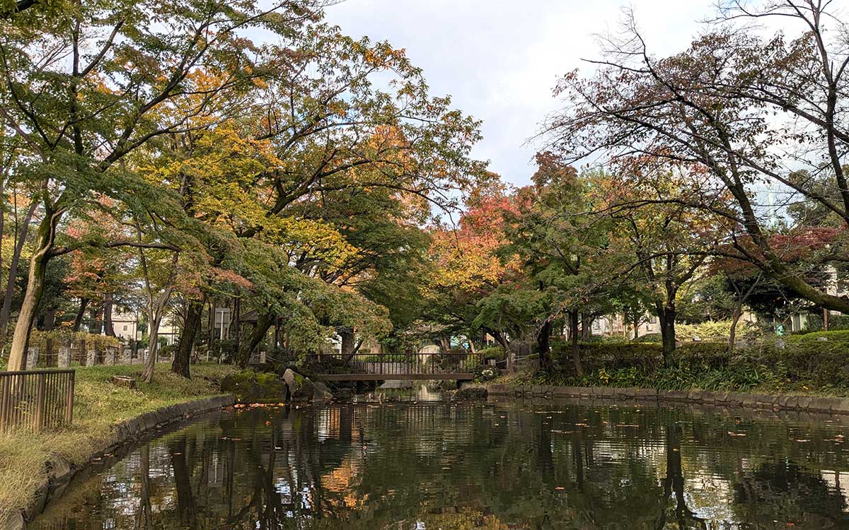 木々が色付く季節の区立馬橋公園（撮影：2024年11月16日）