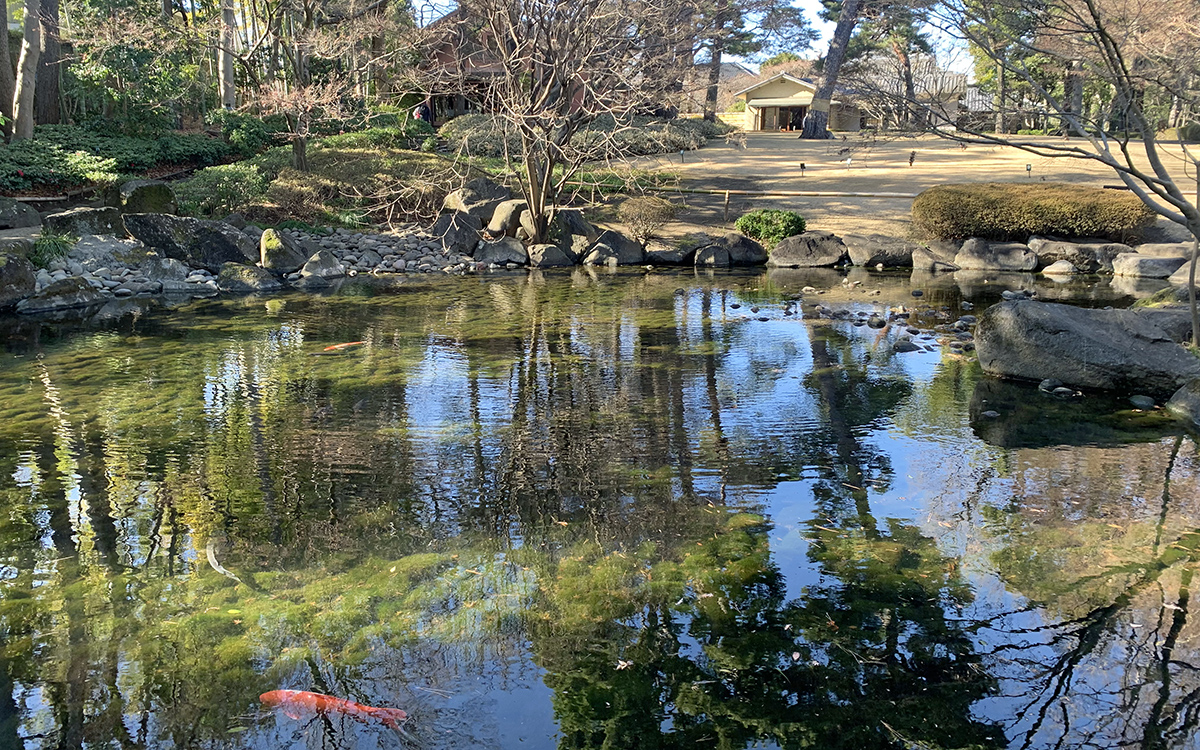 荻窪三庭園の一つ、杉並区立大田黒公園