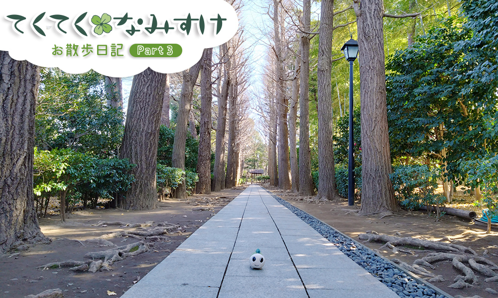 杉並区立大田黒公園のイチョウ並木