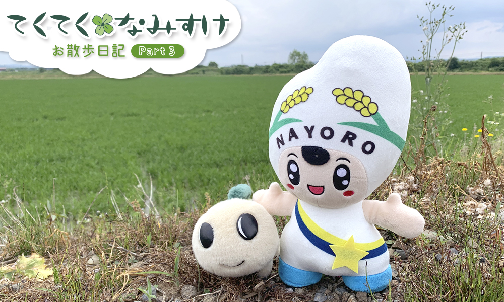 北海道名寄市では、約９割の水田でもち米が作られている