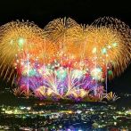 画像:夏を楽しむ、杉並の交流自治体